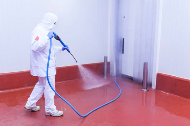 Spring Cleaning in Coats, NC